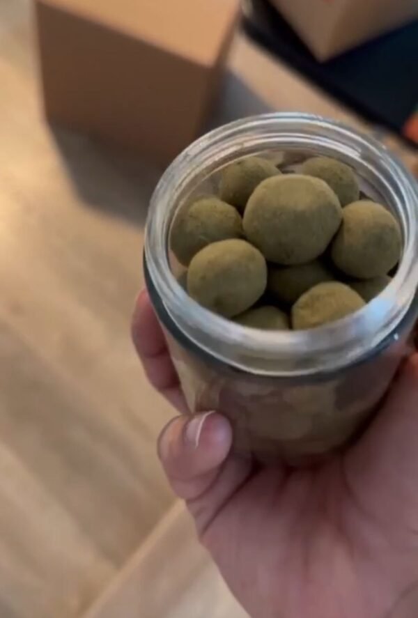 Buy Moon Rocks In Tokyo